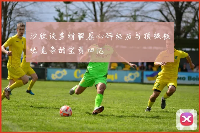 沙欣谈多特解雇心碎经历与顶级教练竞争的宝贵回忆